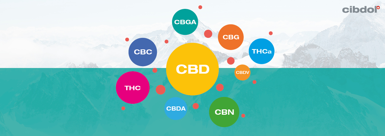 Ce este uleiul CBD cu spectru complet?